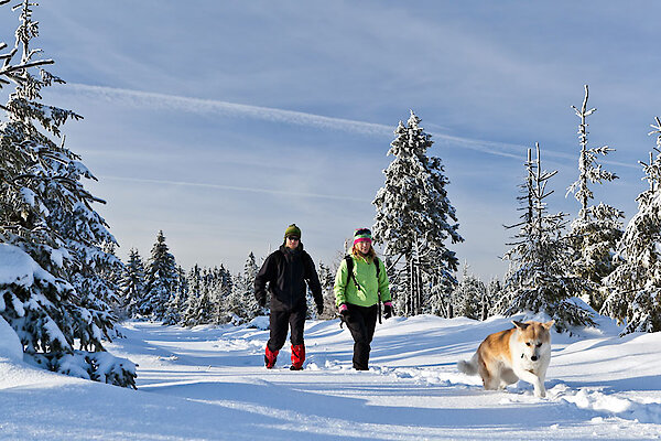 Winterwanderung am Arber